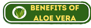 Benefits of Aloe Vera